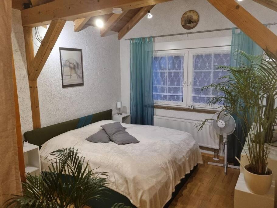 Gemuetliche Dachgeschosswohnung Erfurt Exterior foto